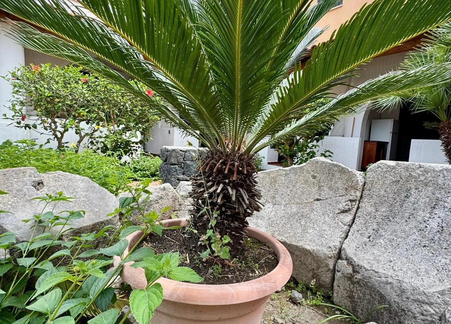 Jera Collection Vulcano Uno - Garden View イタリア